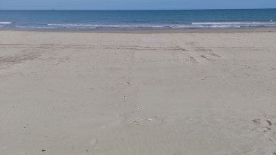 La platja de La Pineda ja és aquí