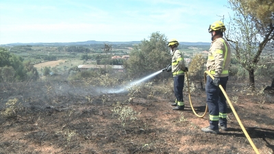 Un incendi crema 1,5 hectàrees de terreny forestal i camps a l&#039;Espluga