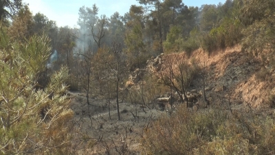 Una crema no autoritzada va provocar l&#039;incendi a la serra de Senan