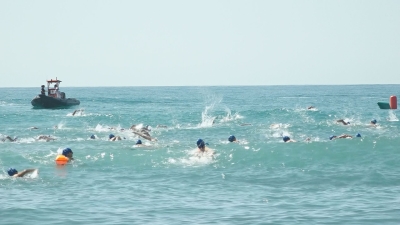 Gairebé 200 nedadors competeixen en la 23a Travessia Nedant-Memorial Fermí Morera