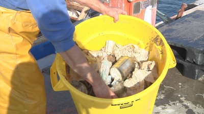 Pescaneta extreu 200 tones de deixalles del fons marí tarragoní durant el 2020