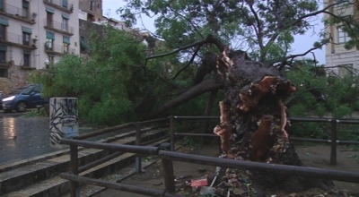 Un ferit, arbres caiguts i desperfectes, conseqüències de la tempesta a Tarragona
