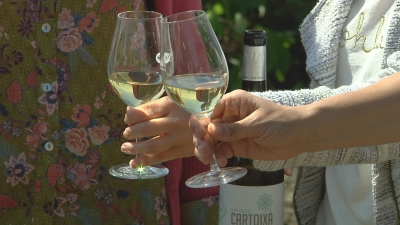 El tancament de l&#039;hostaleria fa caure les vendes del vi un 10,5%