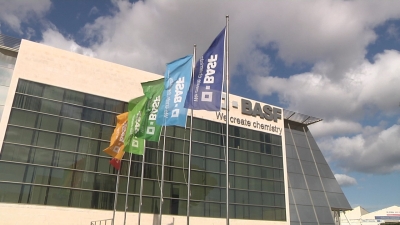 BASF podria frenar la producció per l&#039;elevat preu de l&#039;energia