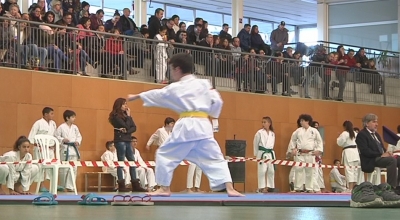 Constantí va celebrar el tradicional &quot;Akio Nozoe&quot; de karate