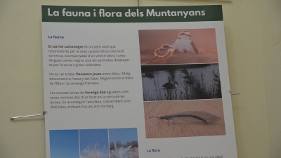 “Sender Blau” és la nova exposició de GEPEC sobre la flora i la fauna de Baix a Mar i els Muntanyans