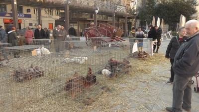 Valls recupera la presència d&#039;animals vius al seu mercat de Nadal