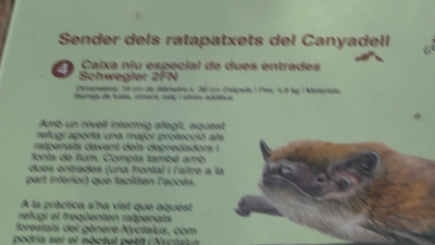 Creen un refugi per a ratpenats a la finca del Canyadell